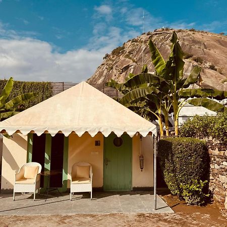 The Rawla Narlai - A Luxury Heritage Stay In Leopard Country מראה חיצוני תמונה